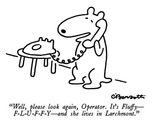 "Well, please look again, Operator. It's Fluffy-F-L-U-F-F-Y-and she lives in Larchmont."