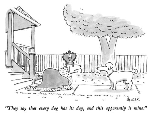"They say that every dog has its day, and this apparently is mine."