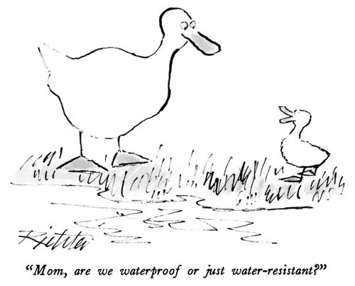"Mom, are we waterproof or just water-resistant?"