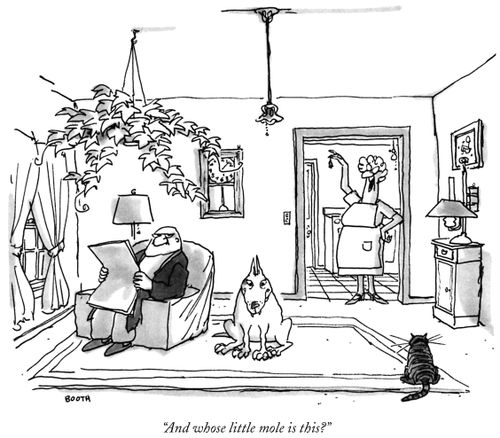 "And whose little mole is this?"