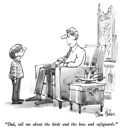 "Dad, tell me about the birds and the bees and safeguards."
