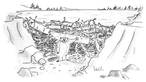 Broken Beaver Dam
