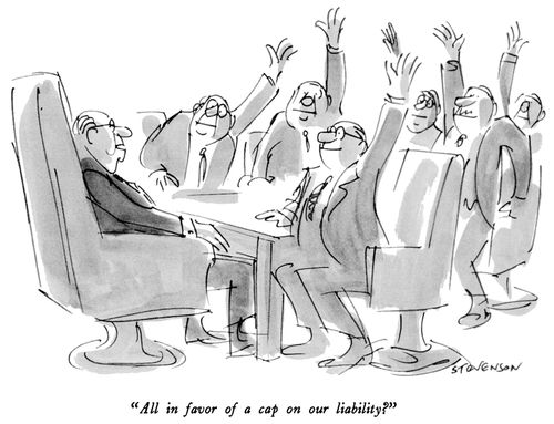 "All in favor of a cap on our liability?"