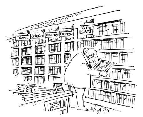 Perusing The Bookshelves For Cute Cats