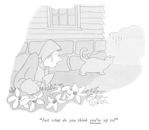 "Just what do you think you're up to?"
