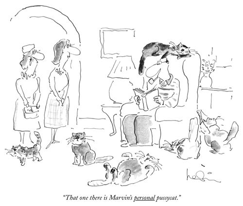 "That one there is Marvin's personal pussycat."
