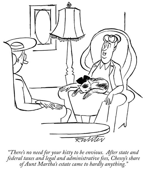 "There's no need for your kitty to be envious. After state and federal taxes and legal administrative fees, Chessy's share of Aunt Martha's estate came to hardly anything."