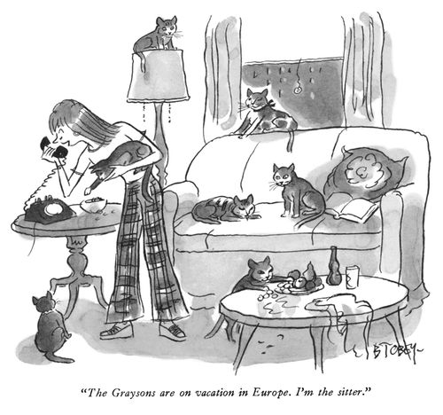 "The Graysons are on vacation in Europe. I'm the sitter."