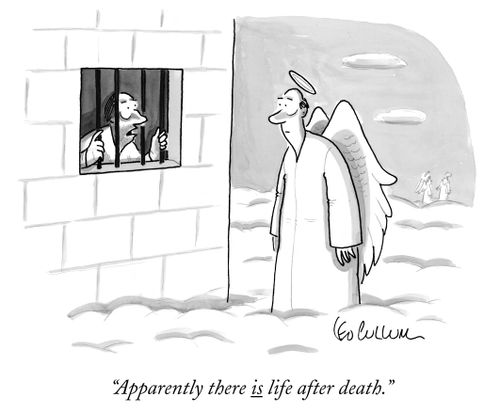 "Apparently, there is life after death."
