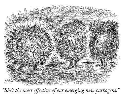 "She's the most effective of our emerging new pathogens."