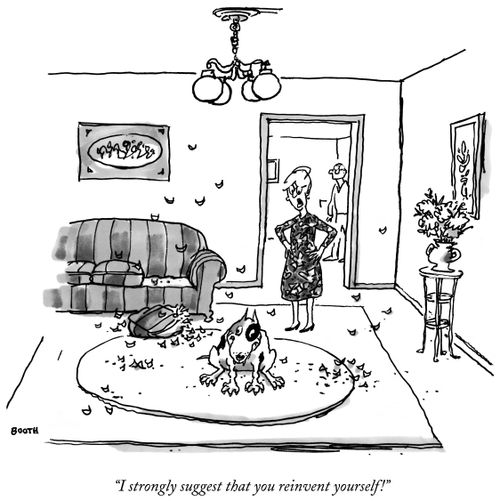 "I strongly suggest that you reinvent yourself!"