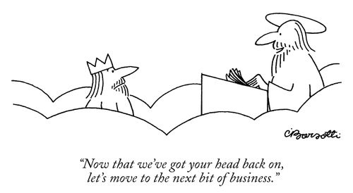 "Now that we've got your head back on, let's move to the next bit of business."