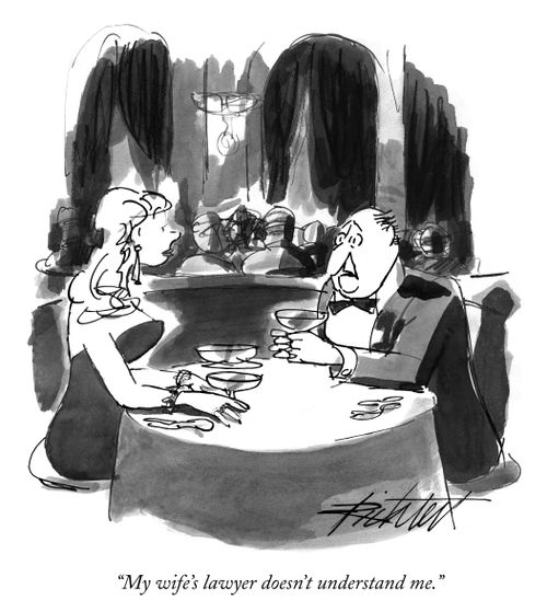 "My wife's lawyer doesn't understand me."