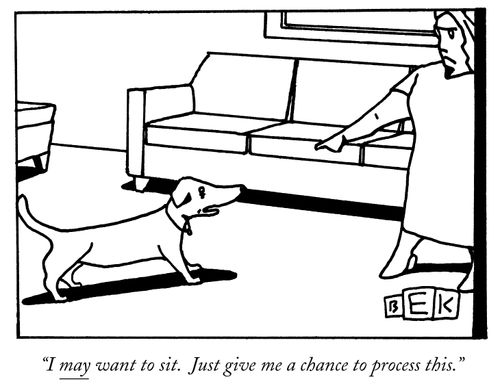 "I may want to sit. Just give me a chance to process this."