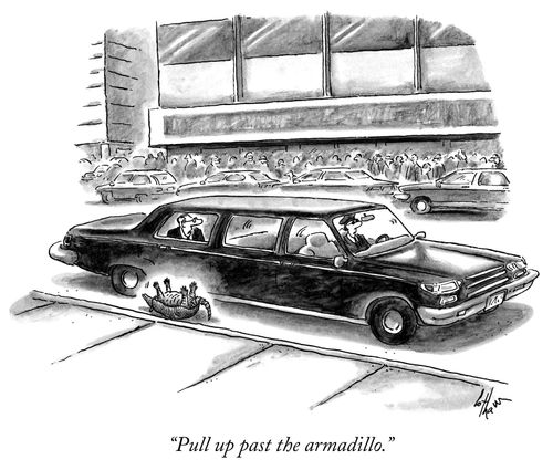 "Pull up past the armadillo."