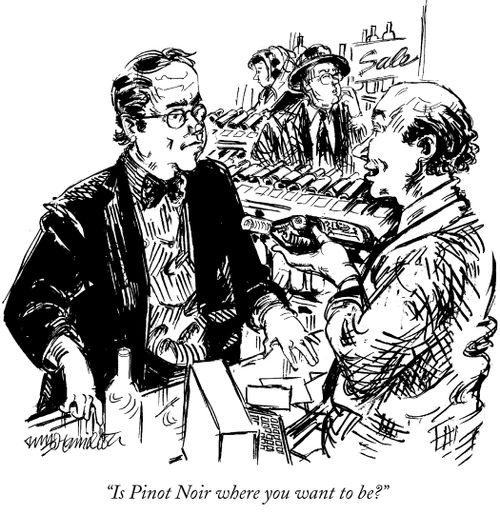 "Is Pinot Noir where you want to be?"