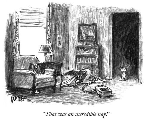 "That was an incredible nap!"