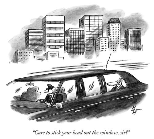 "Care to stick your head out the window, sir?"