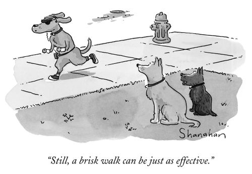"Still, a brisk walk can be just as effective."