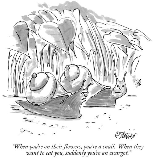 "When you're on their flowers, you're a snail. When they want to eat you, suddenly you're an escargot."