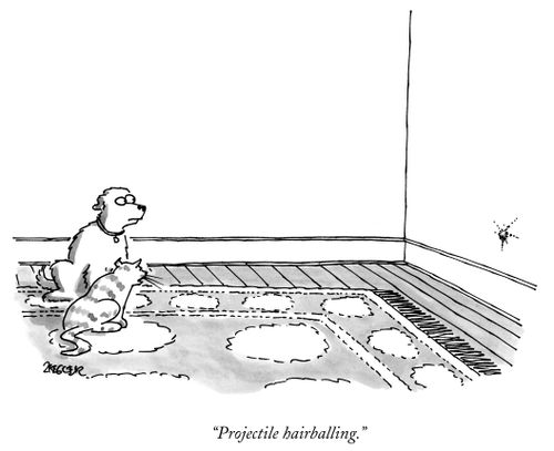 "Projectile hairballing."