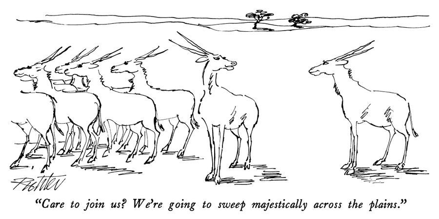 "Care to join us? We're going to sweep majestically across the plains."