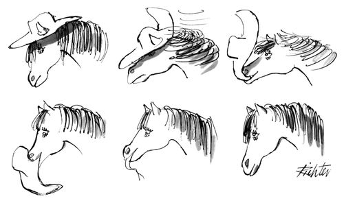 Horse eating hat.