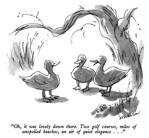 "Oh, it was lovely down there.  Two golf courses, miles of unspoiled beaches, an air of quiet elegance..."