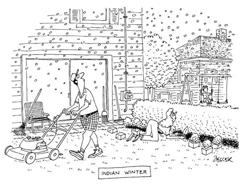 Indian Winter
