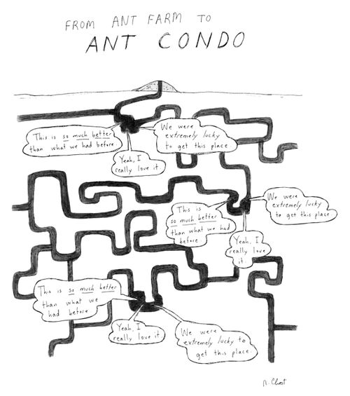 From Ant Farm to Ant Condo