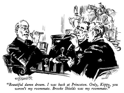 "Beautiful dam dream. I was back at Princeton. Only, Kippy, you weren't my roommate. Brook Shields was my roommate."