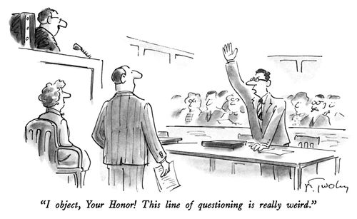 "I object, Your Honor! This line of questioning is really weird."
