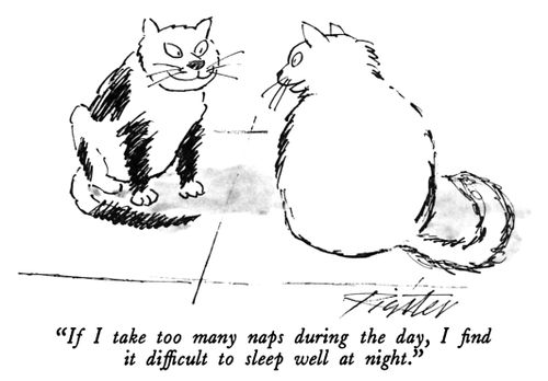 "If I take too many naps during the day, I find it difficult to sleep well at night."