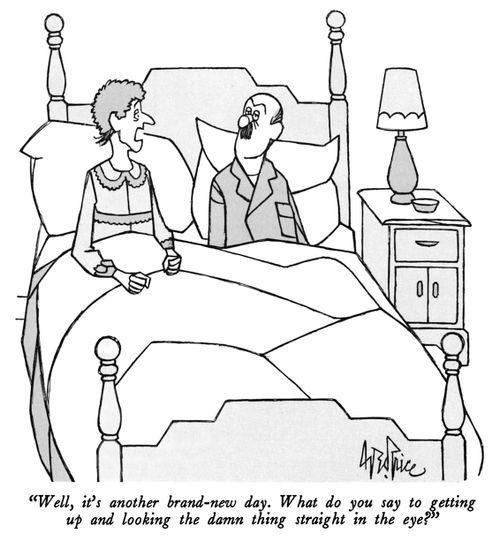"Well, it's another brand-new day. What do you say to getting up and looking the damn thing straight in the eye?"