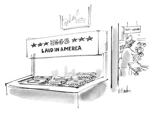 EGGS laid in America