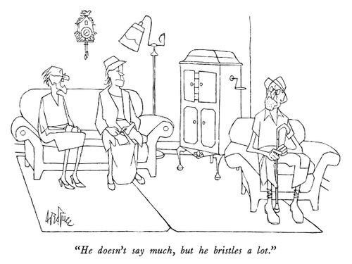 "He doesn't say much, but he bristles a lot."
