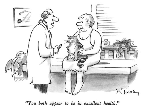 "You both appear to be in excellent health."