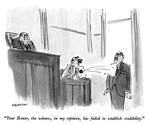 "Your Honor, the witness, in my opinion, has failed to establish credibility."
