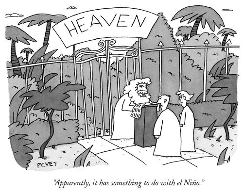 "Apparently, it has something to do with el Niño."