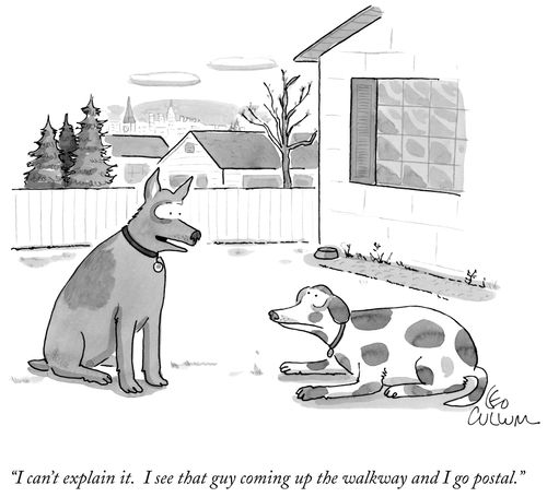 "I can't explain it. I see that guy coming up the walkway and I go postal."