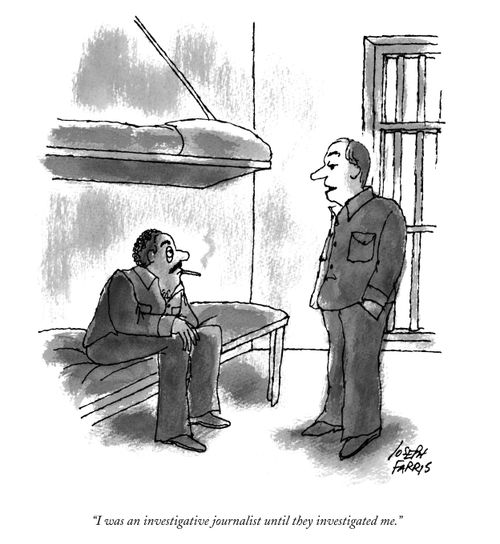 "I was an investigative journalist until they investigated me."