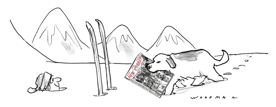 Newspaper Delivery