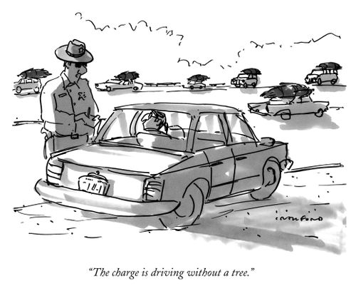 "The charge is driving without a tree."