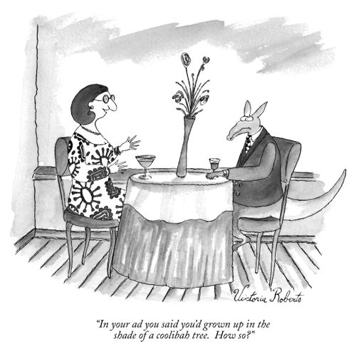 "In your ad you said you'd grown up in the shade of coolibah tree. How so?"