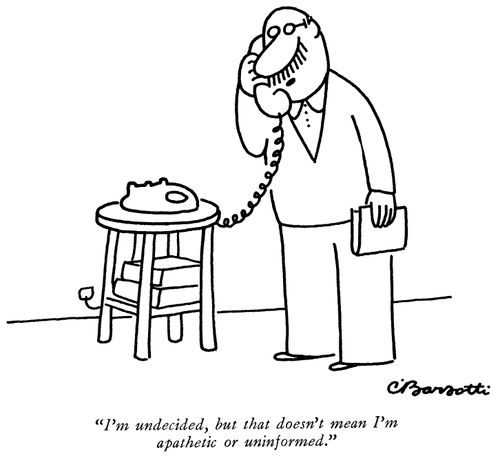 "I'm undecided, but that doesn't mean I'm apathetic or uninformed."