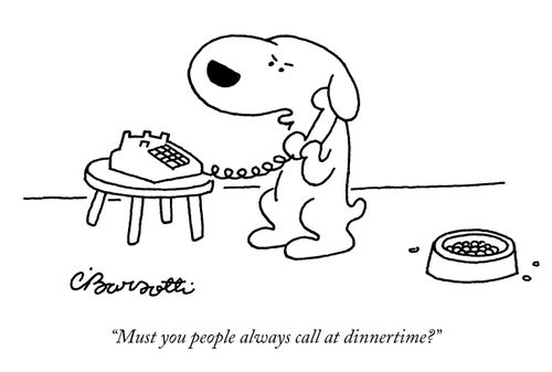 "Must you people always call at dinnertime?"