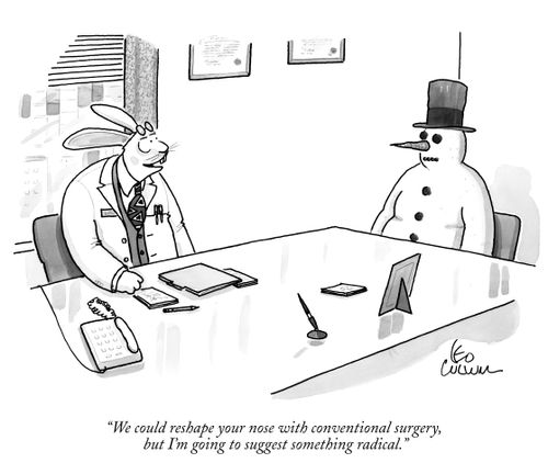 "We could reshape your nose with conventional surgery, but I'm going to suggest something radical."