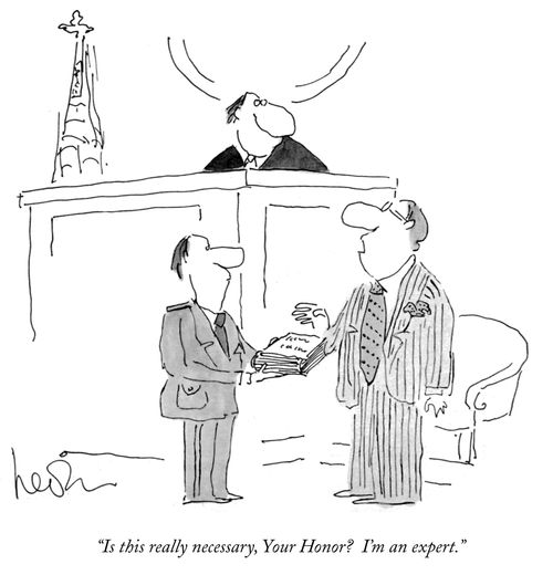 "Is this necessary, Your Honor? I'm an expert."