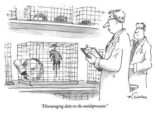 "Discouraging data on the antidepressant."