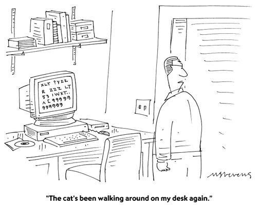"The cat's been walking around on my desk again."